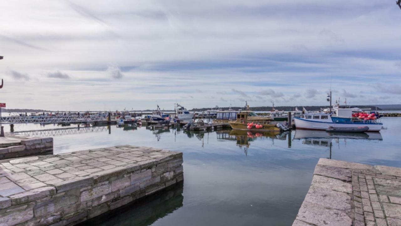 Crow'S Nest Villa Poole Dış mekan fotoğraf